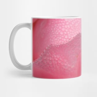 Raindrops Dew on Pink Rose Flower Macro Mug